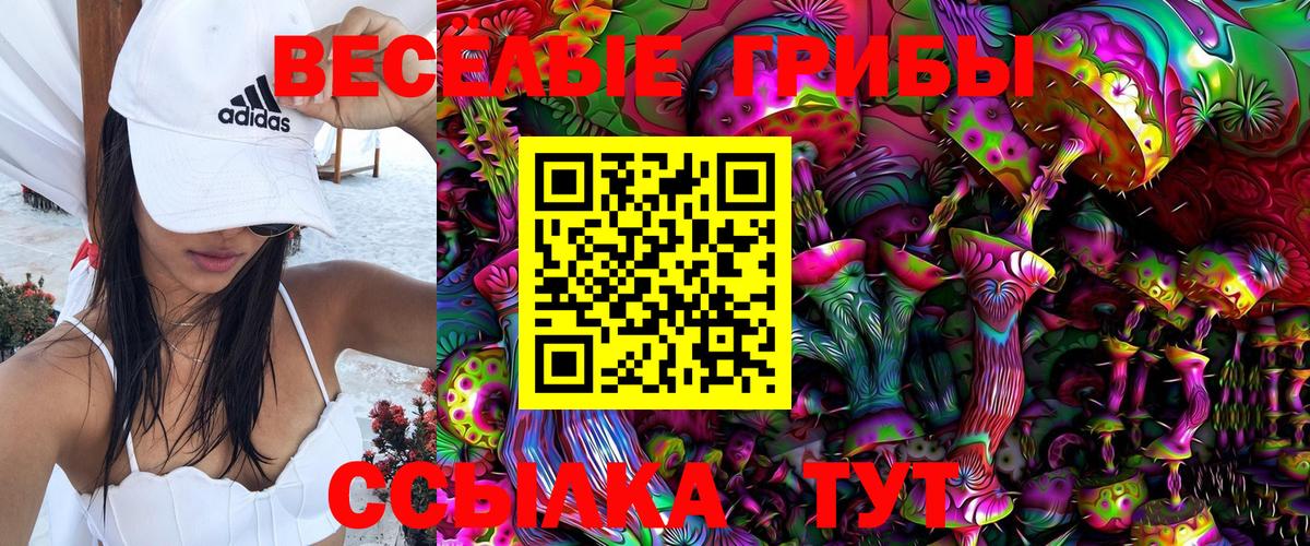 Галлюциногенные грибы Psilocybine cubensis Уссурийск
