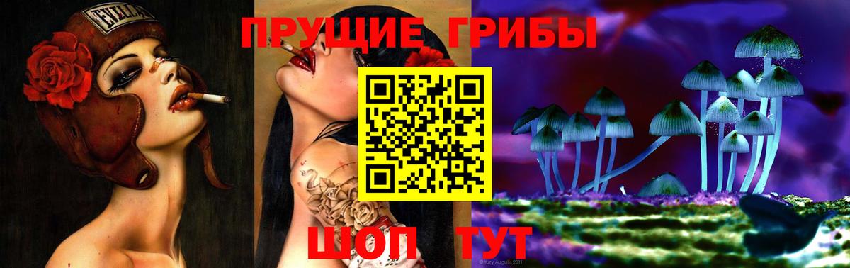 Галлюциногенные грибы Cubensis  Псилоцибиновые грибы Psilocybine cubensis  Уссурийск 